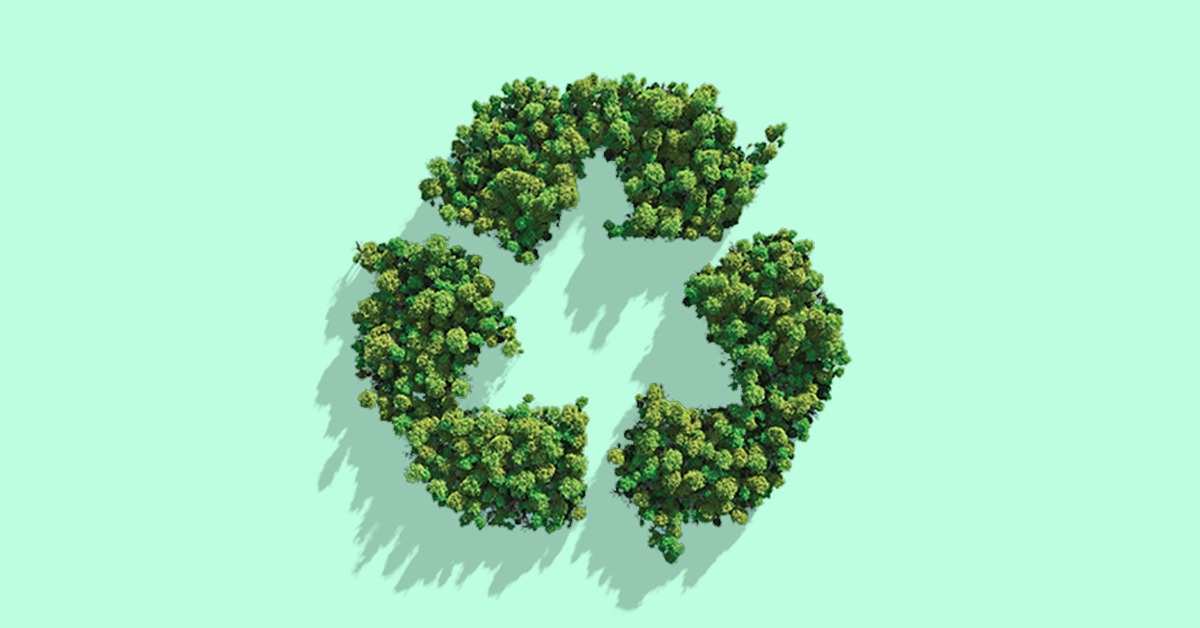 3 façons de rendre votre restaurant plus durable